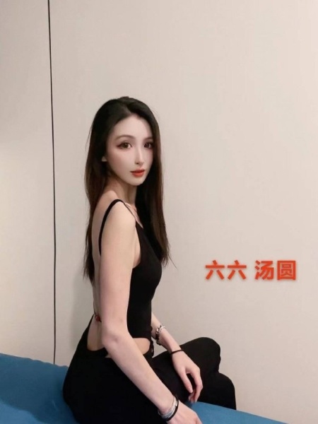 西青区津门湖街道友谊南路段棕榈